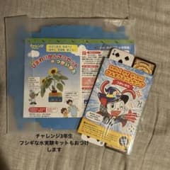 新品未使用 2014年度 チャレンジ1ねんせい 付録 - メルカリ