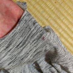 確認用。のサムネイル