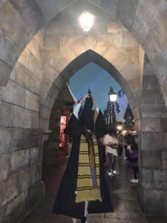 USJ ハリーポッター公式　ハッフルパフ　ローブ　ネクタイ　マフラーのサムネイル