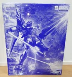 MG 1/100 건담 F91 Ver.2.0 해리슨 매딘 전용기