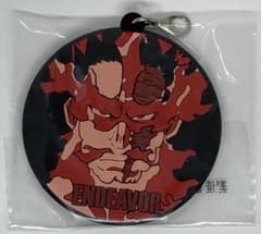 히로아카 HERO VS VILLAINS 고무 매력 엔데버