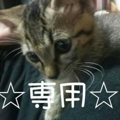 【May様 専用】売り切り！値下げ！のサムネイル