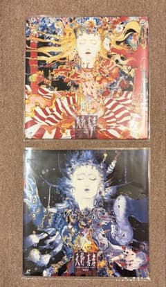 LD 天野喜孝 華麗なる幻想美の世界 Vol.Ⅱ&Ⅲ - メルカリ