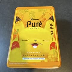 퓨레구미 피카츄 캔