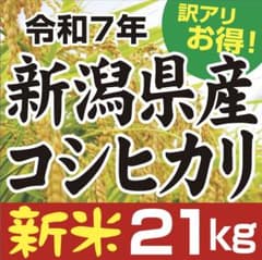 【21kg】 新潟産 コシヒカリ 中米 米 R7年産 21kg】 新潟産 コシヒカリ 中米 米 R7年産 - メルカリ