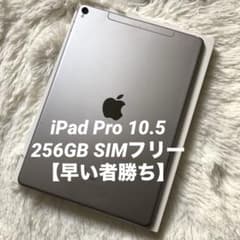完動品】iPad Pro 10.5 256GB SIMフリー【すぐ発送】 - メルカリ