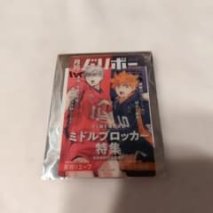 ハイキュー　日向翔陽　灰羽リエーフ　缶バッジ　月刊バリボーのサムネイル
