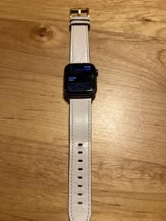【お値下げ】Apple Watch SE 本体 第1世代　箱無しのサムネイル