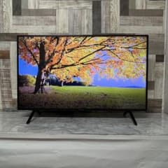 全国送料込❣️ジャパンネクスト43型4K液晶ディスプレイスピーカー