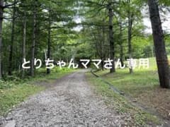とりちゃんママさん専用のサムネイル