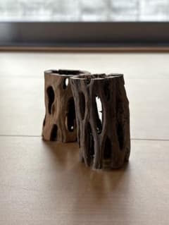 サボテンの骨 カクタスボーン カクタススケルトン s 2個セット - メルカリ