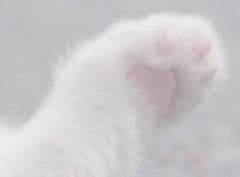minami 様 専用のサムネイル
