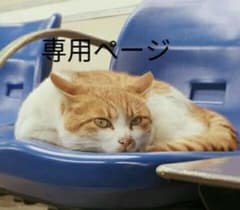T様。専用ページのサムネイル