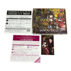 GARNiDELiA『約束-Promise code-』初回限定盤 CD+DVD - メルカリ
