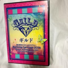 ギルド DVD 2014年夏のサムネイル