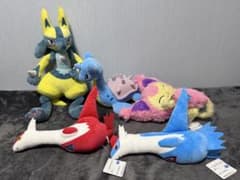 タグ付き ラティオス ラティアス ルカリオ ラプラス エネコ ぬいぐるみ