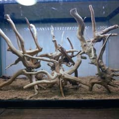 ※枝流木まとめ売り※のサムネイル