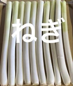 ねぎのサムネイル