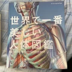 世界で一番美しい人体図鑑のサムネイル