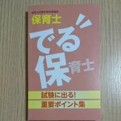 でる保育士 重要ポイント集のサムネイル
