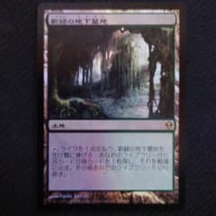 新緑の地下墓地/Verdant Catacombs》[ZEN]foil - メルカリ