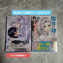 のんのん(プロフ確認お願いします)様 リクエスト 2点 まとめ商品