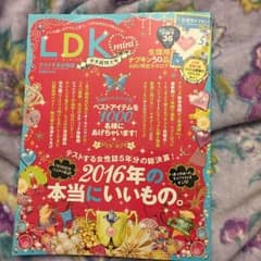 LDK年末超特大号　美品のサムネイル