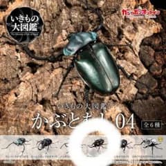 ガシャポン いきもの大図鑑 かぶとむし04 ヤマトカブトムシ（改） ガチャのサムネイル