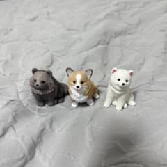 おすわりーぬ4 た～ぬき.ふぉーんこぎ～ぬ.白しば〜ぬのサムネイル