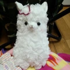 ☆あべいゆ様専用出品☆のサムネイル