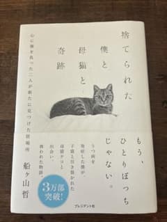 捨てられた僕と母猫と奇跡のサムネイル