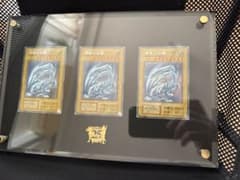 遊戯王 海馬セット 青眼の白龍 3枚セット ディスプレイケース付き