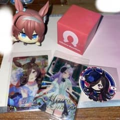 ウマ娘 ミホノブルボン、ライスシャワー、メジロマックイーン、まとめ売りおまけ付きのサムネイル