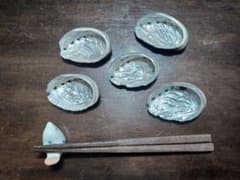 食器　貝殻　鮑　装飾
