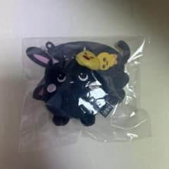 riize ウォンビン トニャンドク ぬいぐるみ - メルカリ