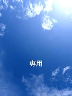 専用 - 2