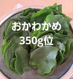 おかわかめ　350g位　雲南百薬　無農薬栽培のサムネイル