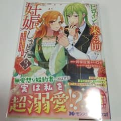 ヒロインが来る前に妊娠しました　　異世界 大賞 3巻 モンスターコミックス