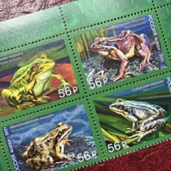 75546セール現品限 外国切手 ロシア発行カエル4種揃田型 - メルカリ