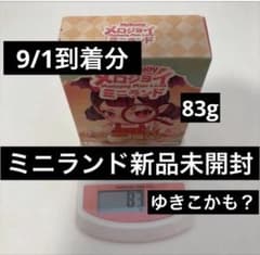 Mellojoy メロジョイ ミニランド 新品未開封　ゆきこ　ミニわんアイスのサムネイル