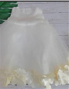 花びら 白ドレス 結婚式のサムネイル
