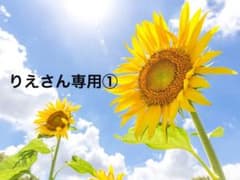 りえさん専用のサムネイル