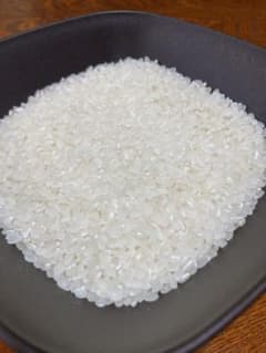 【新米！】ご購入後に精米 令和8年度産 コシヒカリ 茨城県常陸産 10kgのサムネイル