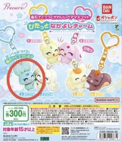 プリキュア ぴたっとなかよしチャーム フラッピのサムネイル