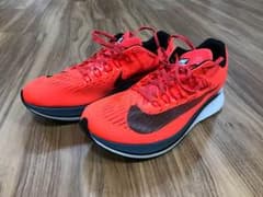 NIKEズームフライ28.0cmのサムネイル