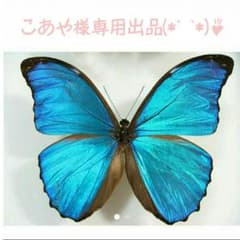こあや様専用出品(*ˊ˘ˋ*)♪のサムネイル