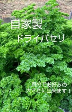 自家製ドライパセリのサムネイル