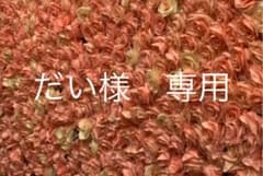 だい様　専用のサムネイル