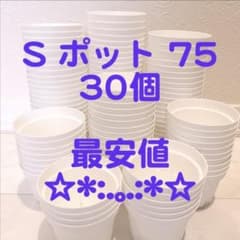 【スリット鉢】Ｓポット丸型75白30個 プレステラ 多肉植物 プラ鉢のサムネイル