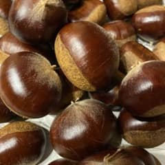 （お値打）無農薬・上州産大きな利平栗（１５）１．２ｋｇ・渋皮煮・甘露煮のサムネイル